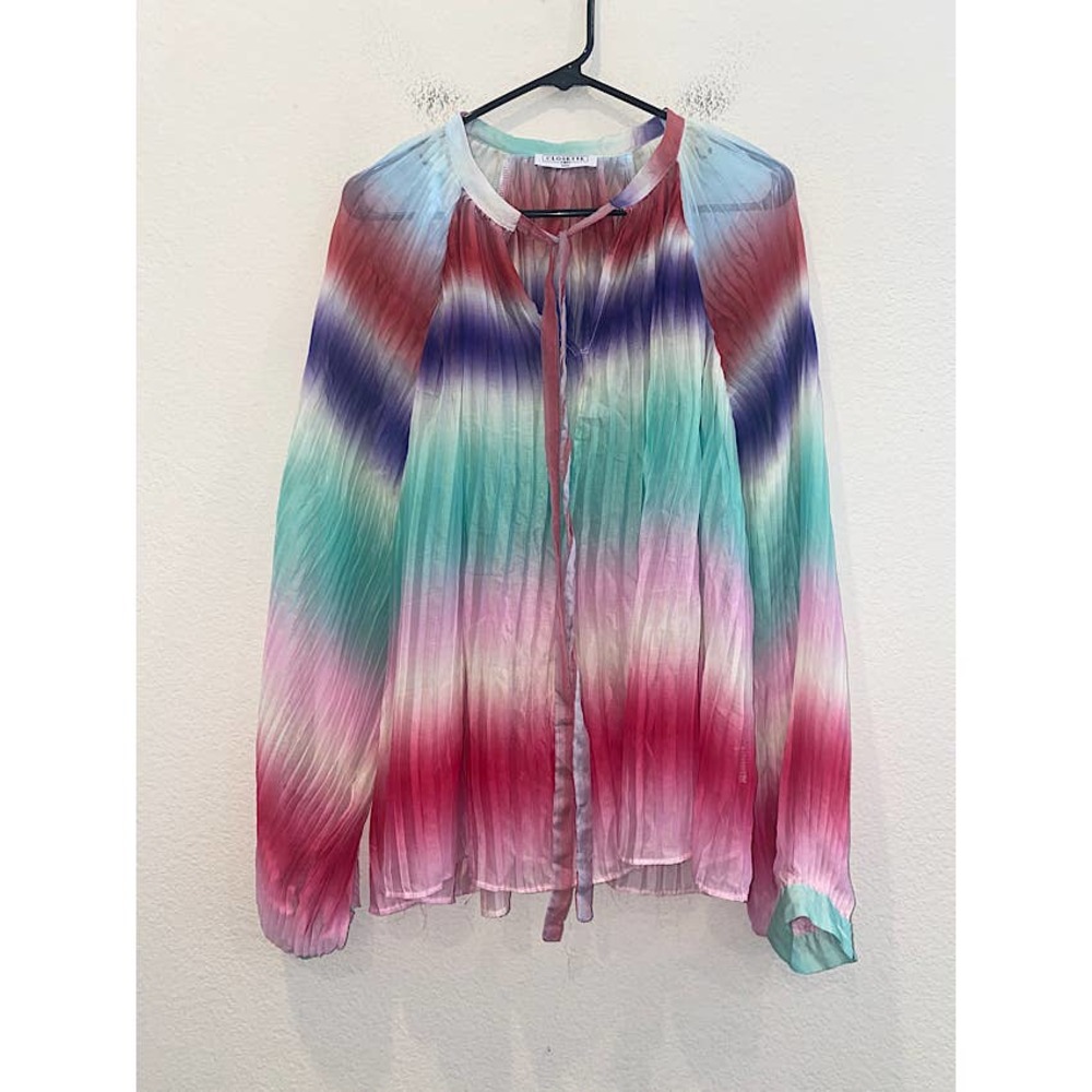 Closette Chic Blouse Pleated Flowy Multicolor Sheer  L/S Tie Neck size Small